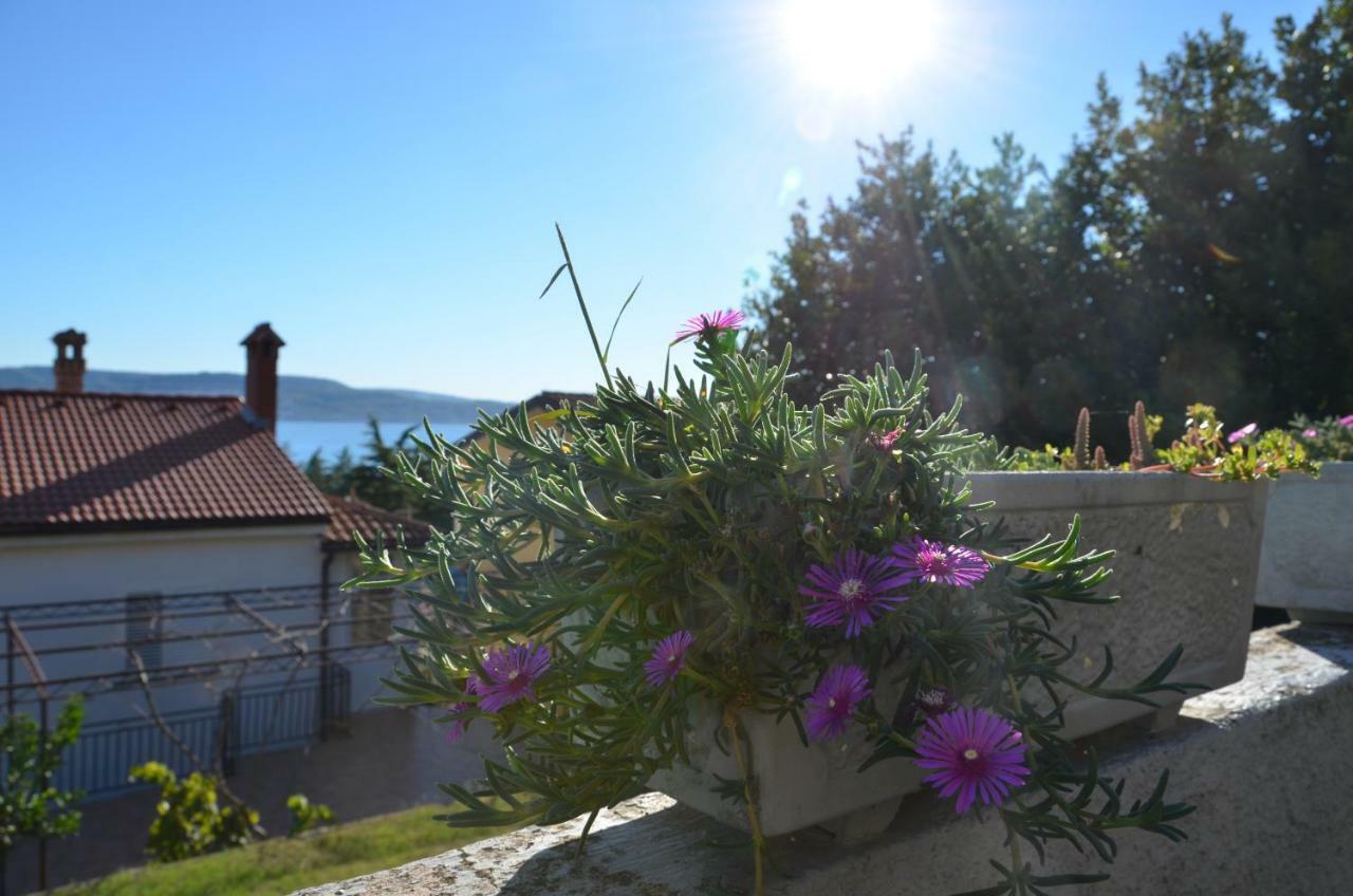 Apartment Garden View